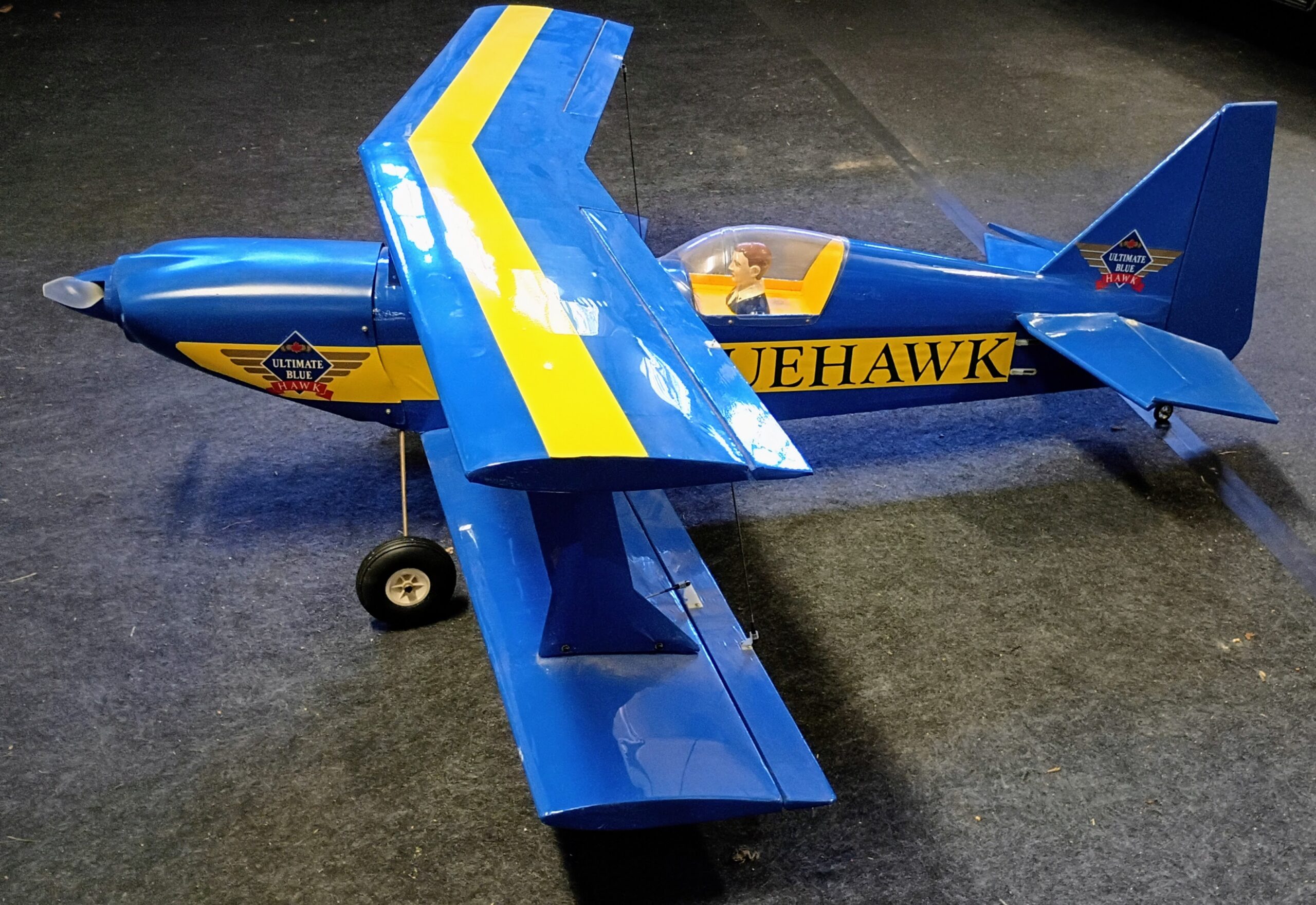 BlueHawk ultimate 10 – 300 Carl Goldberg