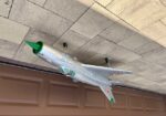 Freewing Mig 21 80mm EDF